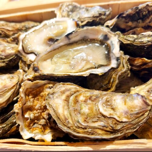 Oyster fine de Claire #3